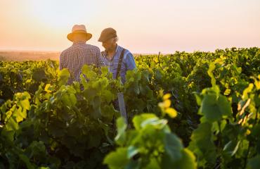 Agriculteurs dans un champ